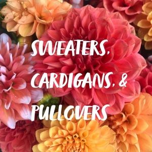 Sweaters, Cardigans, & Pullovers